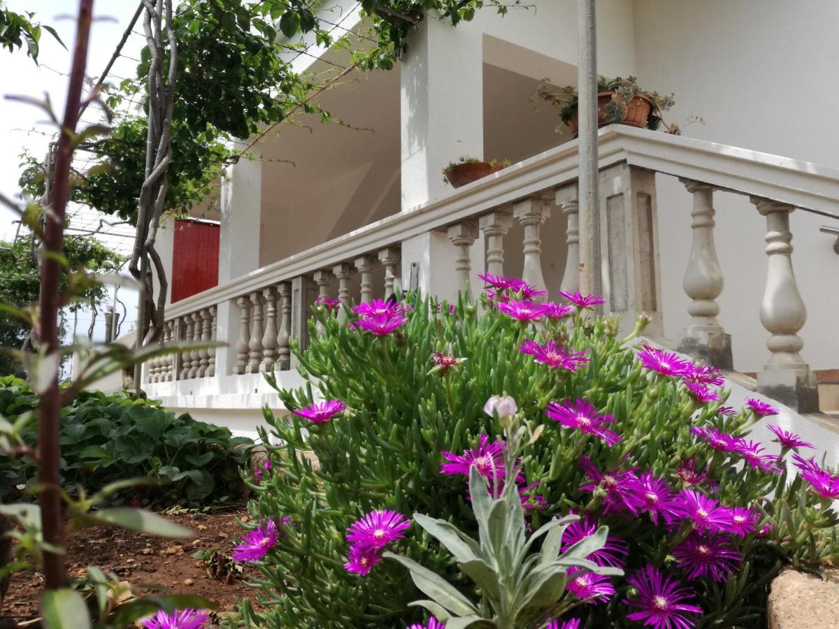 Apartmani Daniela Murter Exterior foto